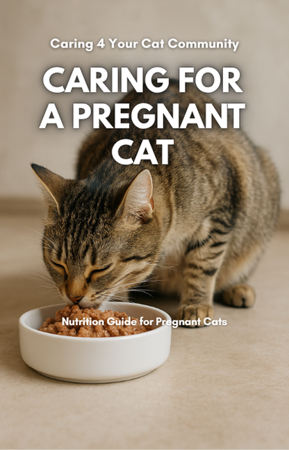 Cat eating from a bowl with text about caring for a pregnant cat on a beige background
