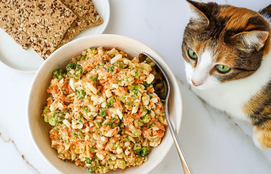 100 Homemade Cat Recipes for Wet Food - Set of 2 Books